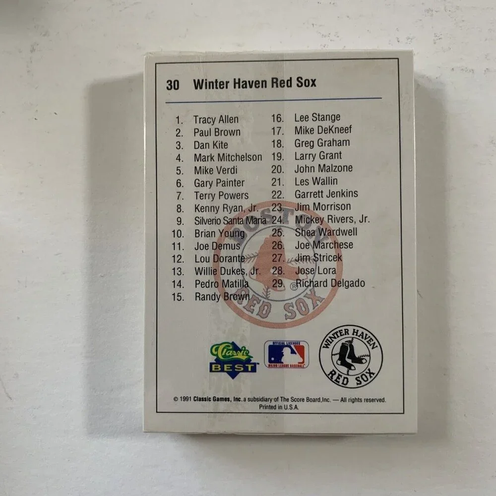MLB 1991 winter